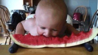 小孩吃瓜可爱瞬间,捕捉孩子吃瓜的可爱瞬间