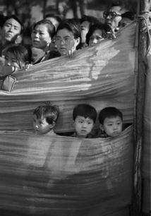 吃瓜看客图,揭秘娱乐圈幕后风云