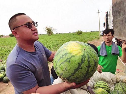 年鹏吃瓜,揭秘娱乐圈幕后故事