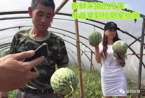 直播户外吃瓜,瓜果飘香话生活