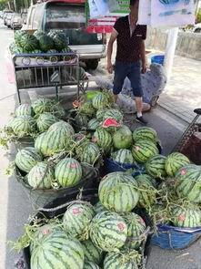 大远杭州吃瓜事件,一场网络热议的真相揭秘