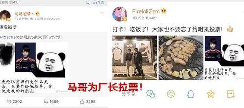 粉丝直播间吃瓜,粉丝揭秘明星幕后故事