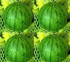 吃凤瓜好吗,吃凤瓜的好处与美味分享