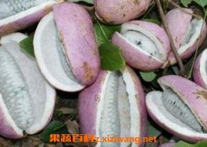 八月瓜怎么吃小龙虾,夏日美食新搭配