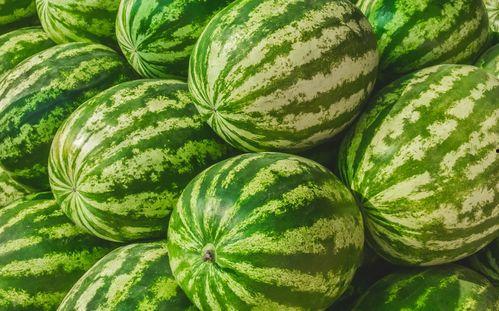 一般吃瓜都在哪吃,揭秘全民“吃瓜”的欢乐时光