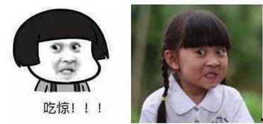 有瓜吃舔屏,有瓜吃，舔屏不止