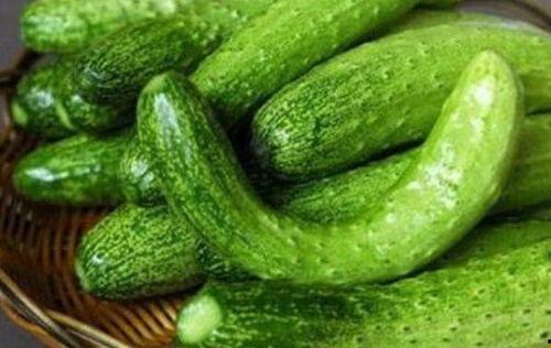 民国吃瓜下载,揭秘民国时期吃瓜群众的趣味生活