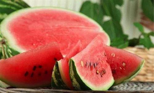 吃瓜易消化,尽享吃瓜乐趣