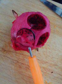 火龙吃瓜,一场奇幻美食之旅