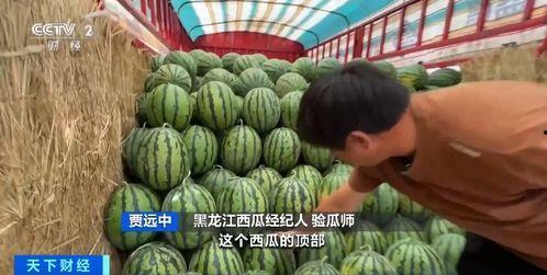 窑湾最新吃瓜,揭秘最新吃瓜事件背后的真相