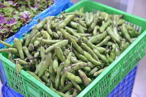 孟孟吃瓜,揭秘娱乐圈那些不为人知的幕后故事