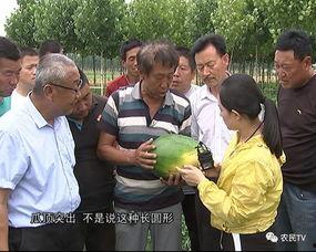 博士日常吃瓜,揭秘学术圈里的“吃瓜”风云