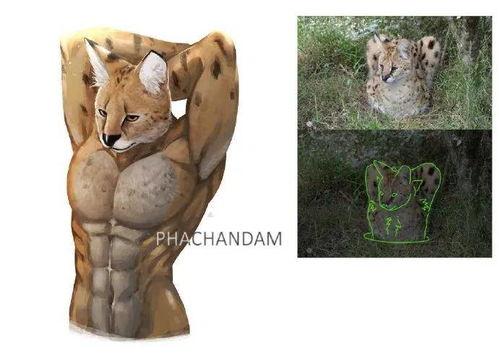 瓜哥吃瓜动物界肌肉大佬