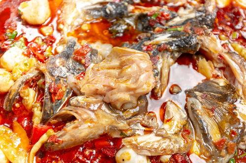 大儿瓜鱼头吃,探寻美食与文化的完美融合